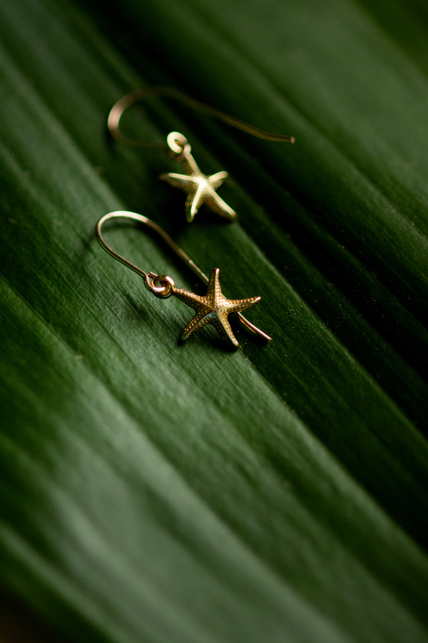 Small starfish earrings